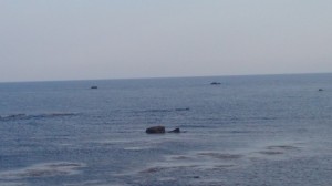 DSC_0046.JPG